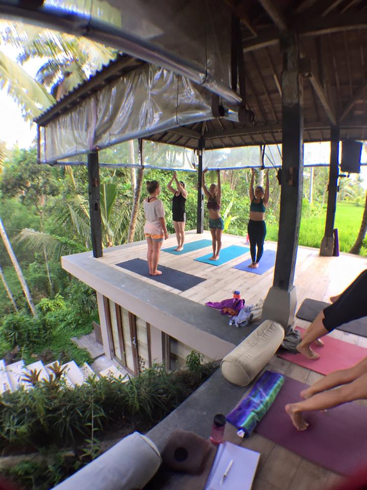 11249552_533545870142641_8942986607021313496_n