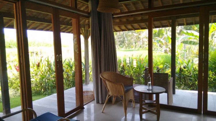 IMG_20151116_101215718(3)