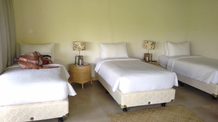 IMG_20151116_101223032(3)