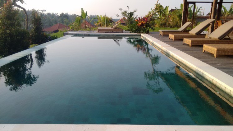 IMG_20151117_063640118(2)