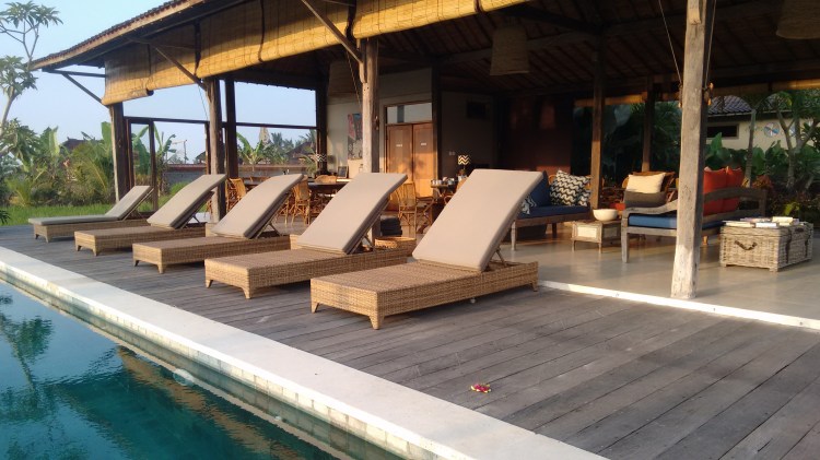 IMG_20151117_063644239(2)