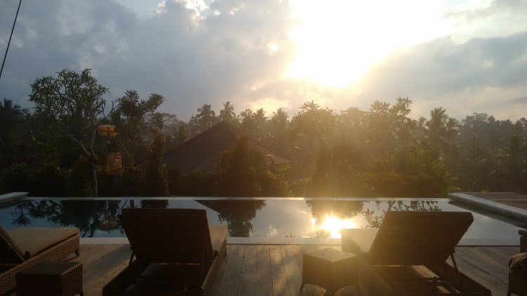 IMG_20151119_064059198