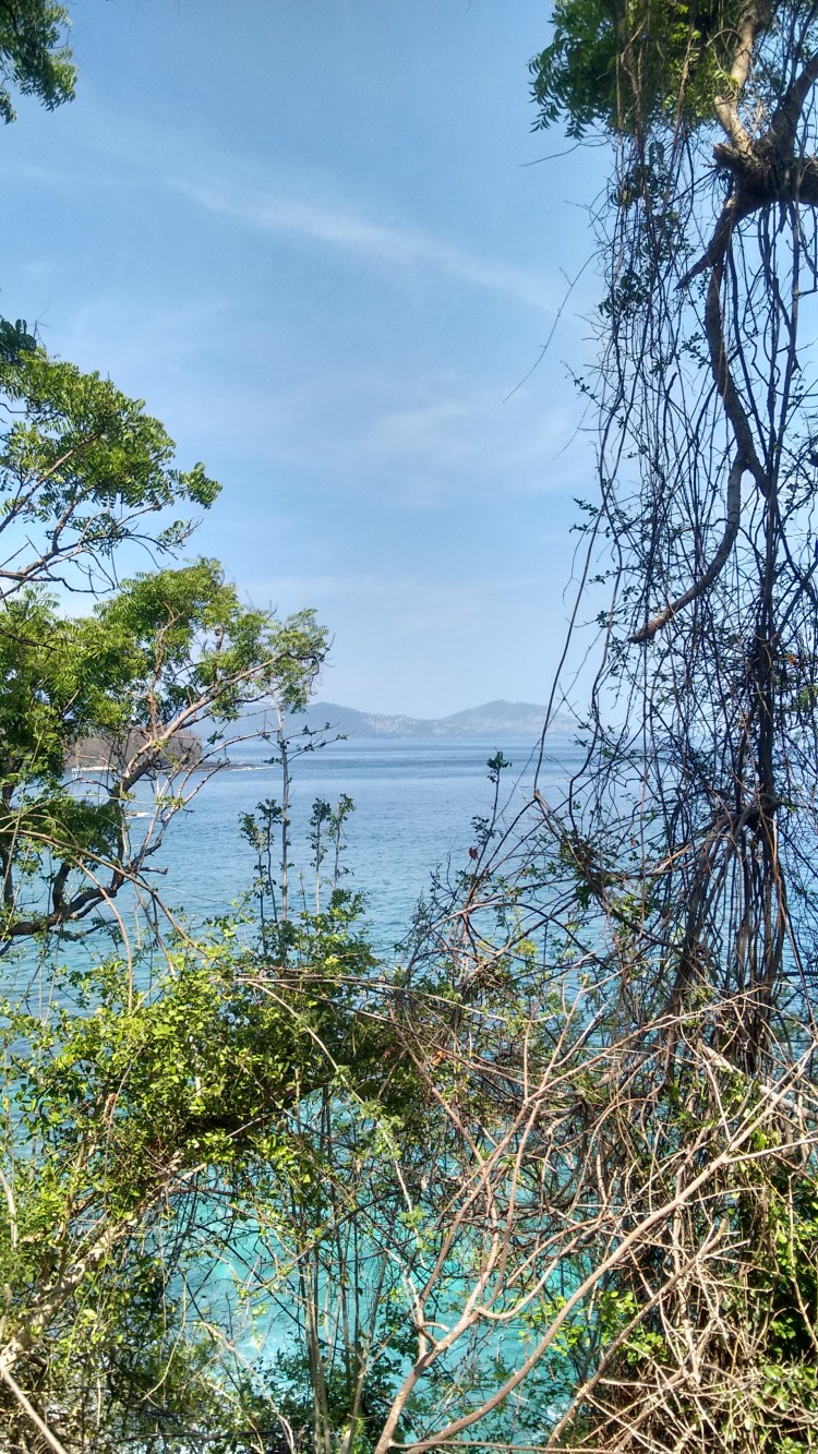 IMG_20151127_134749328_HDR