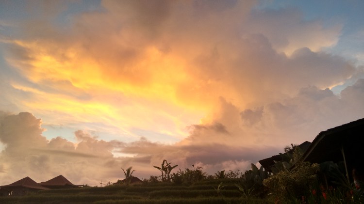 IMG_20151204_183203633_HDR