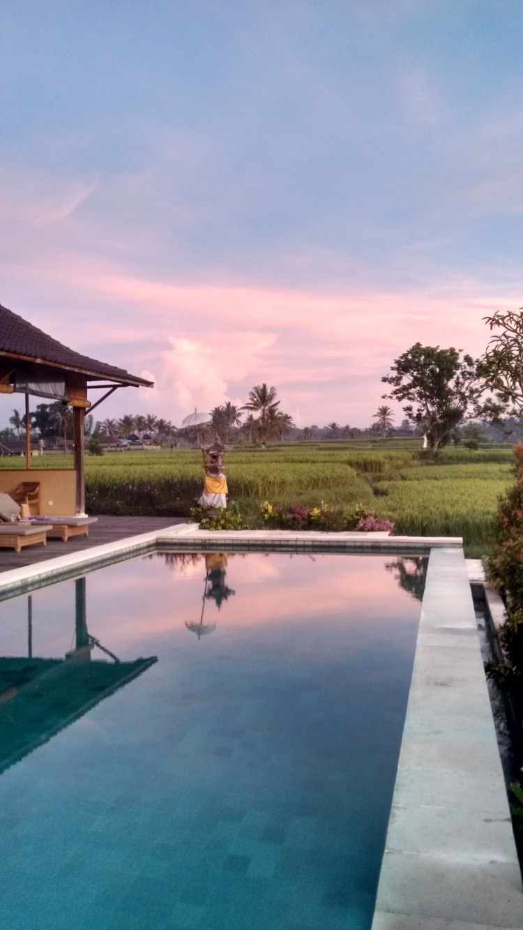 IMG_20151207_054411997_HDR