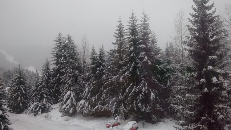 IMG_20151215_094839316