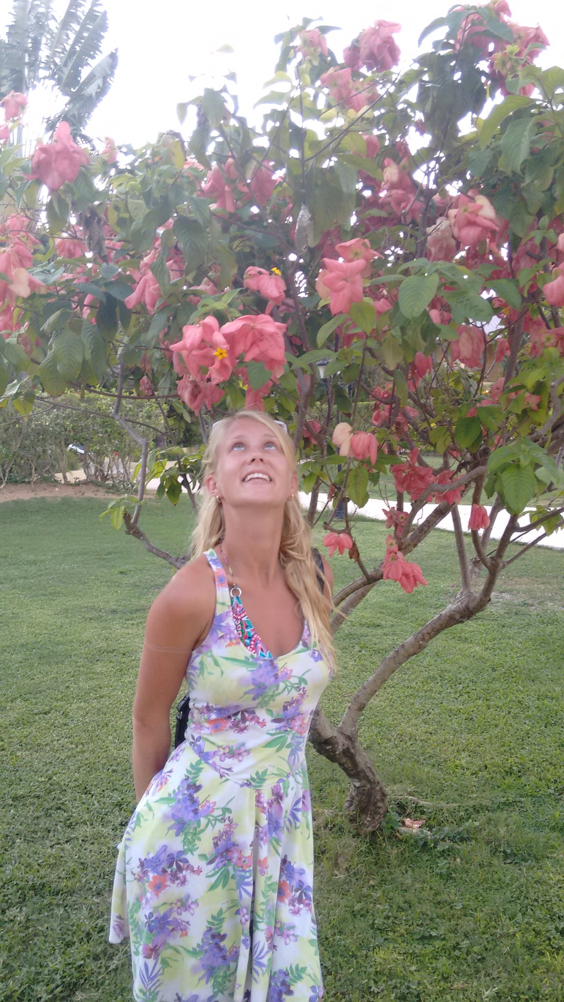 IMG_20151107_172144979